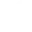 Apple Icon
